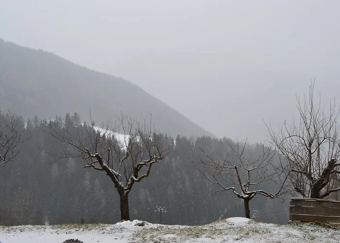 Martlerhof Urlaub Auf Dem Bauernhof
